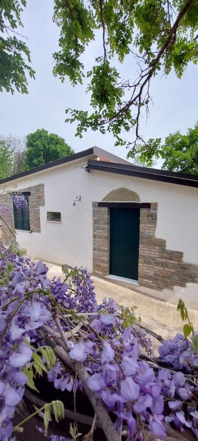 Agriturismo Terranova Pisticci Kültér fotó