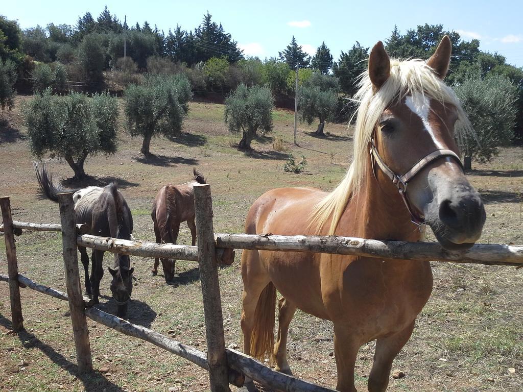 Agriturismo Terranova Vendégház Pisticci Kültér fotó